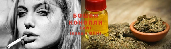 сатива Алексин