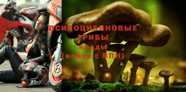трава Алексеевка