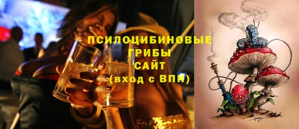сатива Алексин