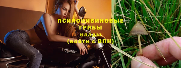трава Алексеевка