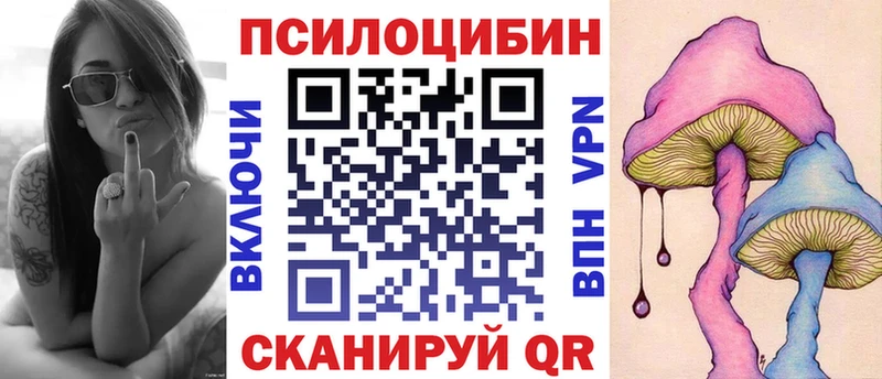 Псилоцибиновые грибы мицелий  цена наркотик  Камызяк 