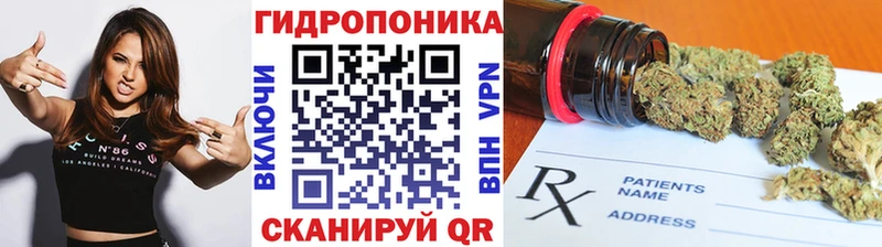 купить наркотик  Камызяк  Канабис Bruce Banner 